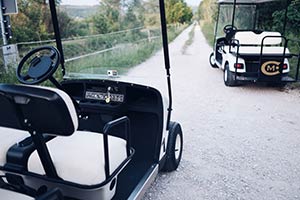 Golf Car Istria